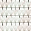 9D Pro-Made Lash Fans  Eyelash Extensions By Yegi Beauty front lashes